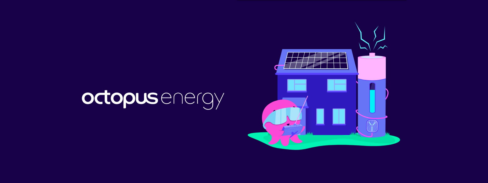 MyHomeSolar Presents: Octopus Flux Tariff 